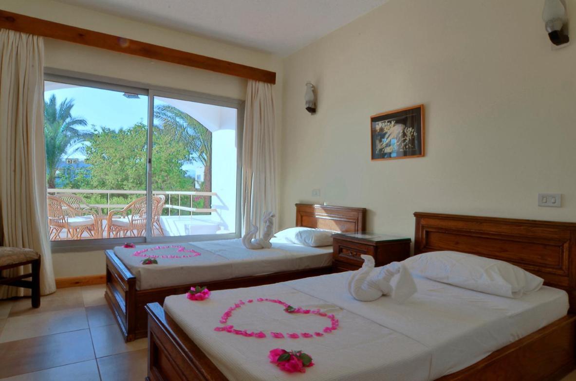Hotel Oonas Dive Club Šarm aš-Šajch Exteriér fotografie
